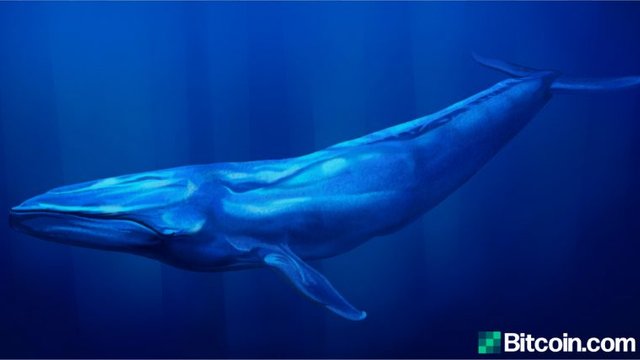 whales-760x428.jpg