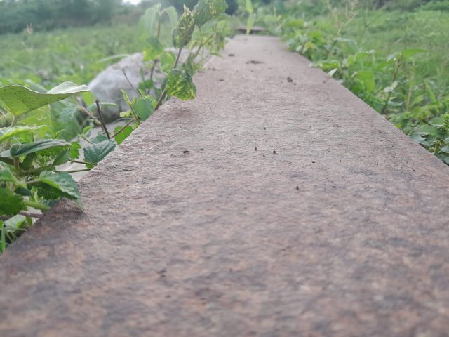 IMG-20251010-WA0043.jpg