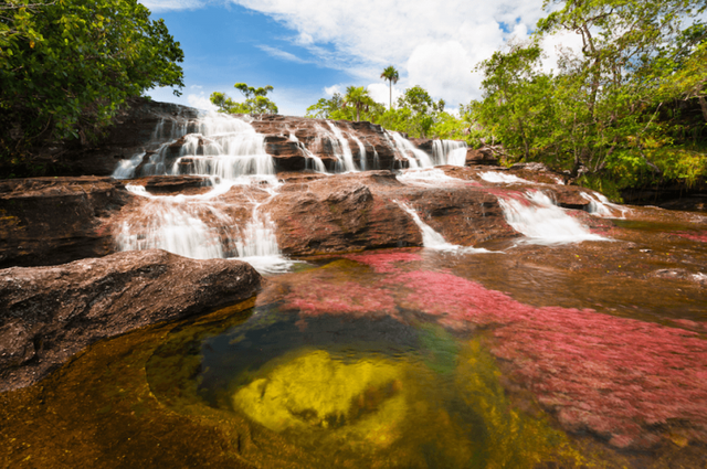 cano_cristales-768x510.png