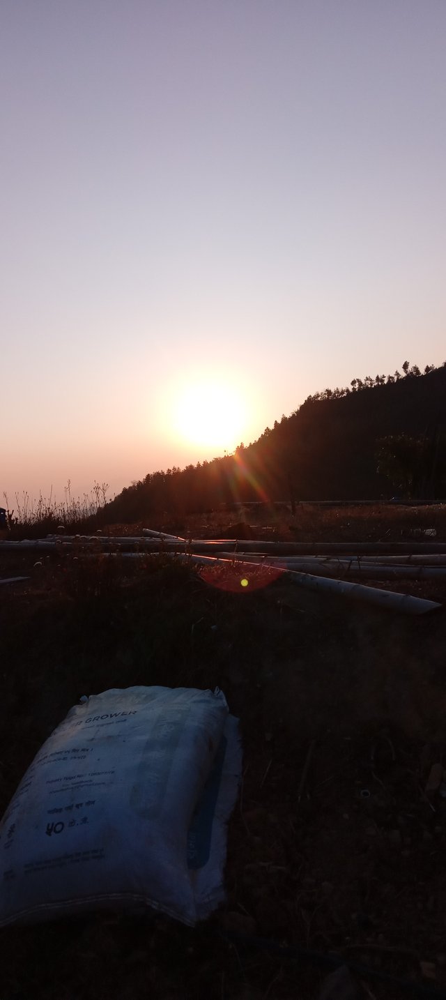 20250322_062842.jpg
