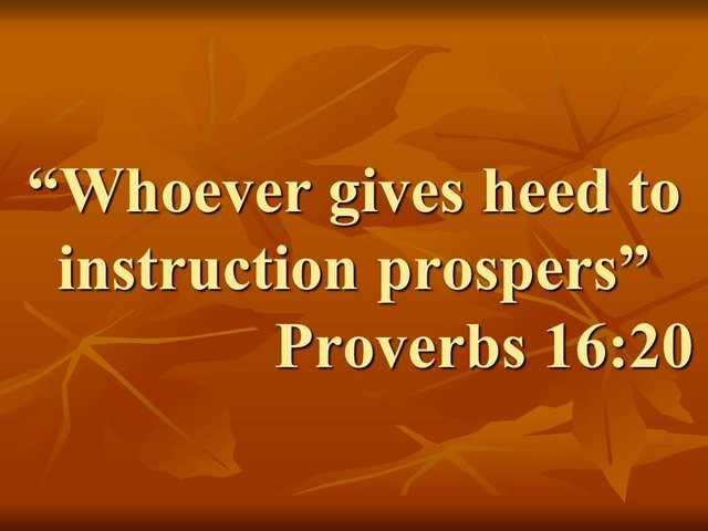 Spiritual insight and bible wisdom. Whoever gives heed to instruction prospers. Proverbs 16,20.jpg