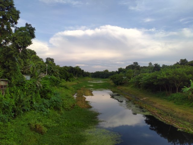 river tree sky.jpeg