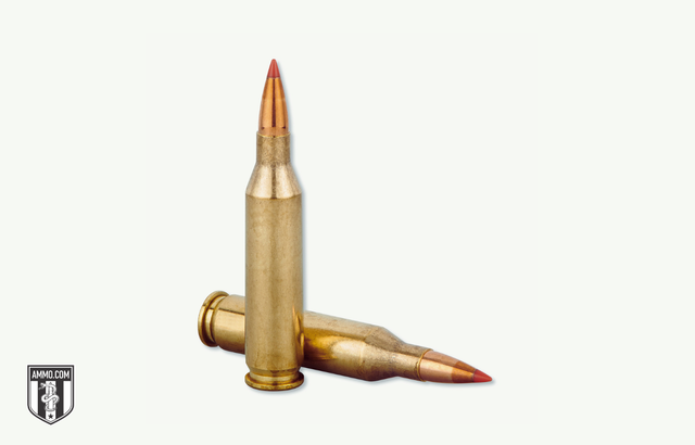 image (3).png