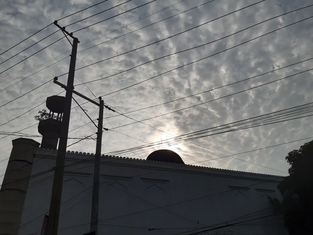 20221019_080529.jpg