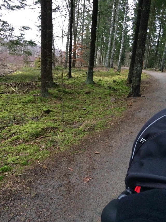 IMG-20191230-WA0010.jpg