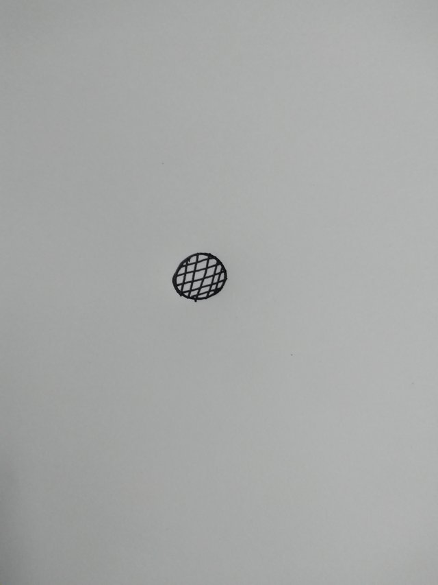 20250629_090044.jpg