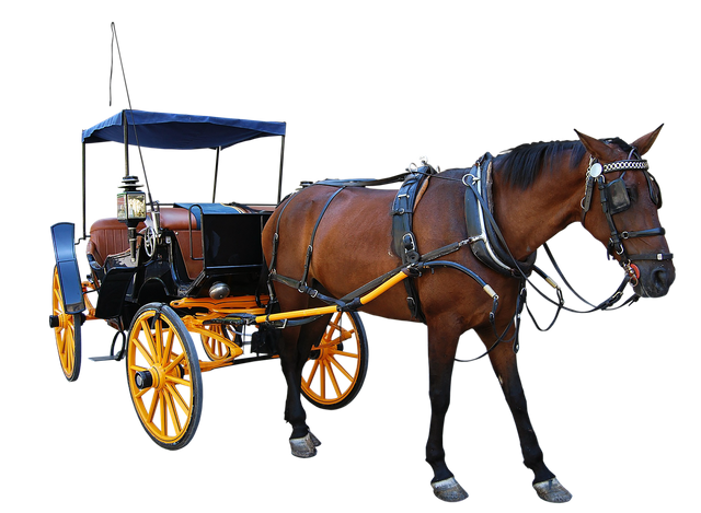 carriage-5487426_1280.png