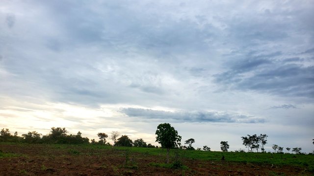 20250701_172558.jpg