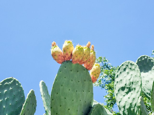 20250829_111857.jpg