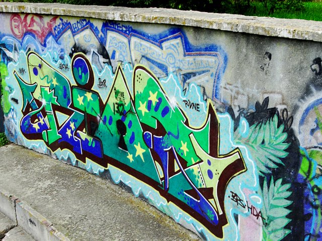 DSC07409(1).JPG