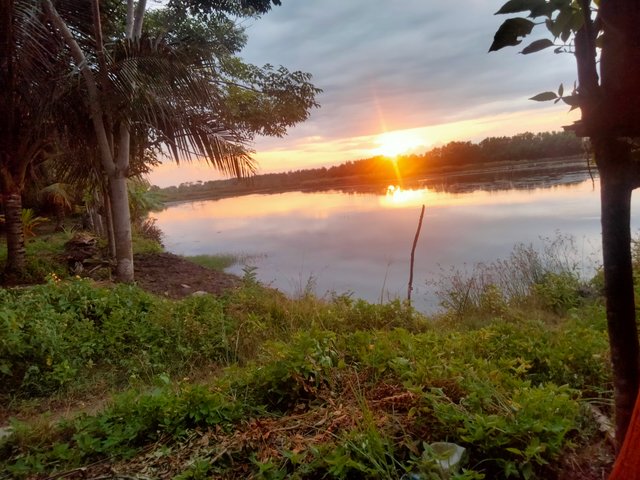 IMG20250618183255.jpg