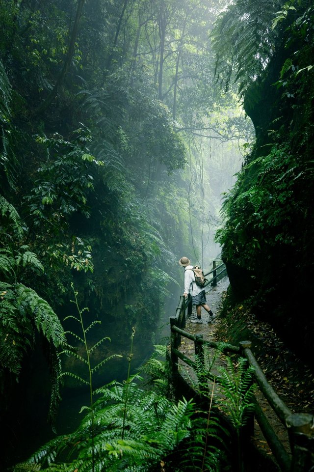 我宣布❗️四川人有自己的亚马逊热带雨林🌿_1.jpg