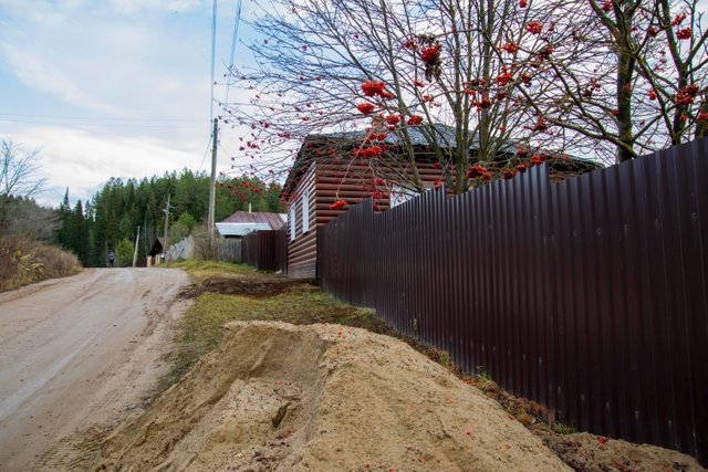 20211024 Курешники_37.jpg