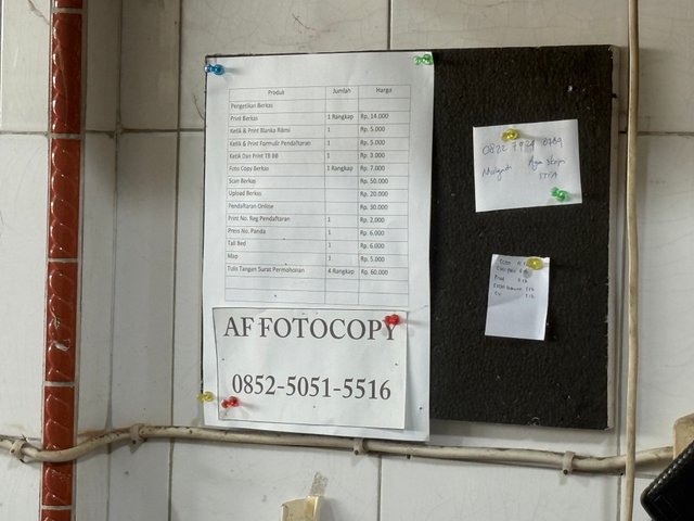 IMG_2955.jpeg