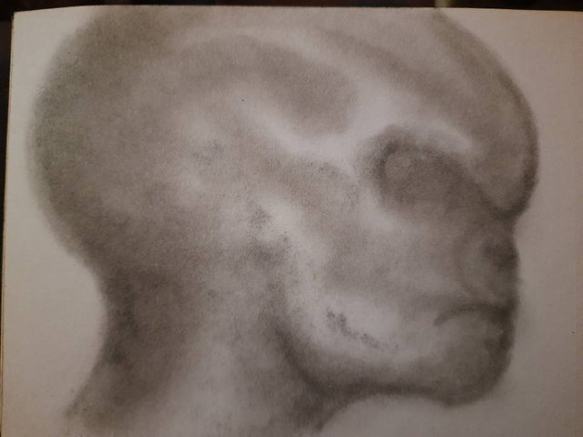 20250509_104733.jpg