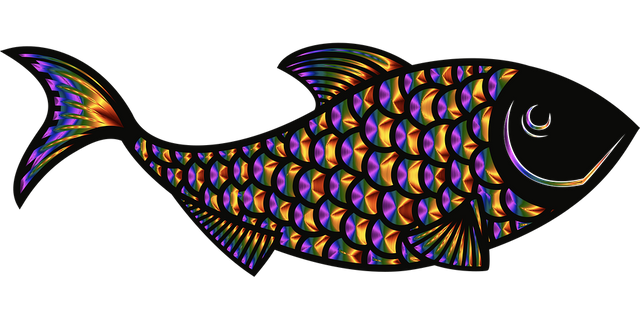 fish-5354282__480.png