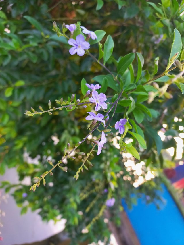 20230904_172955.jpg
