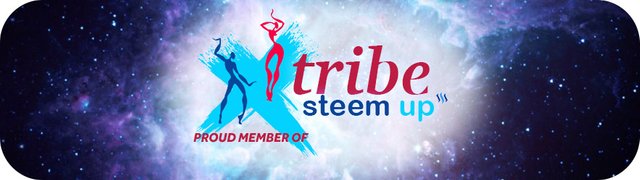 tribe-steemup-member-banner.jpg