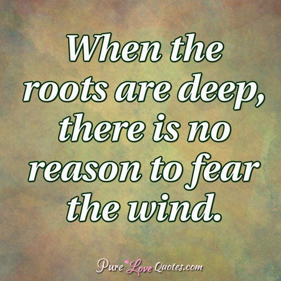 when-the-roots-are-deep-there-is-no-reason.jpg