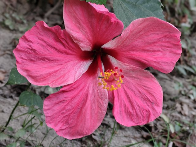 IMG_20250319_170618.jpg