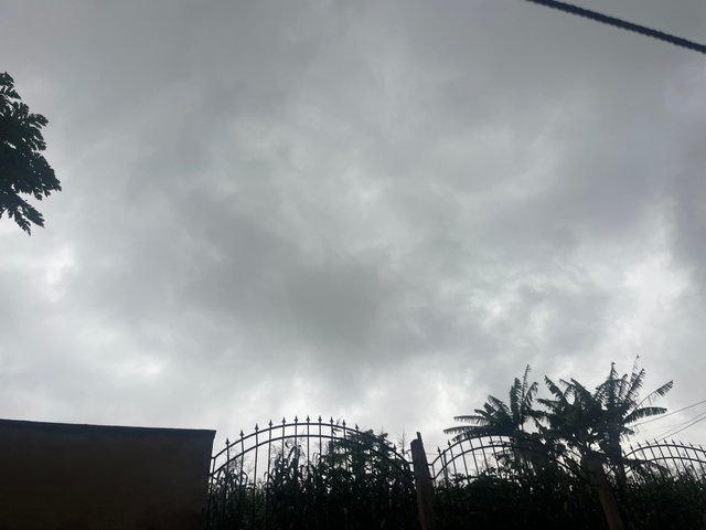 IMG_1889.jpeg