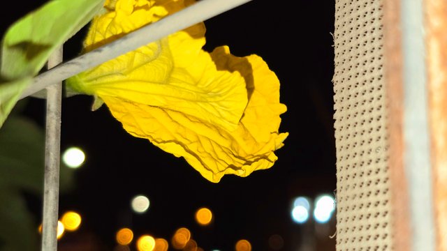 20250214_020924.jpg
