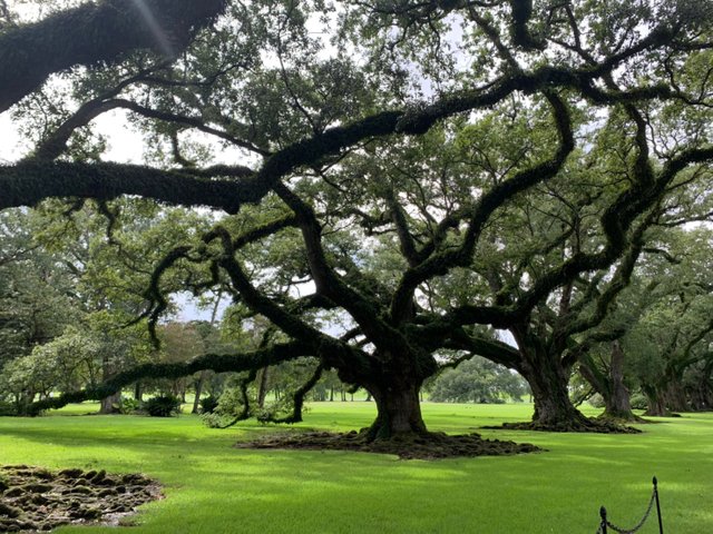 Whitney Plantation21.jpg