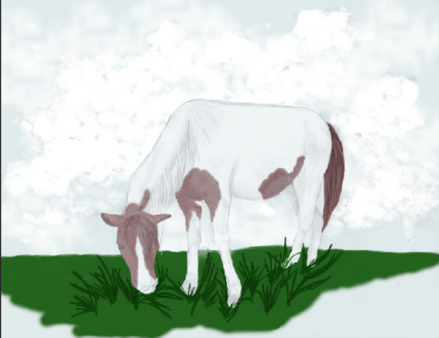 Dibujo_Caballo2.PNG