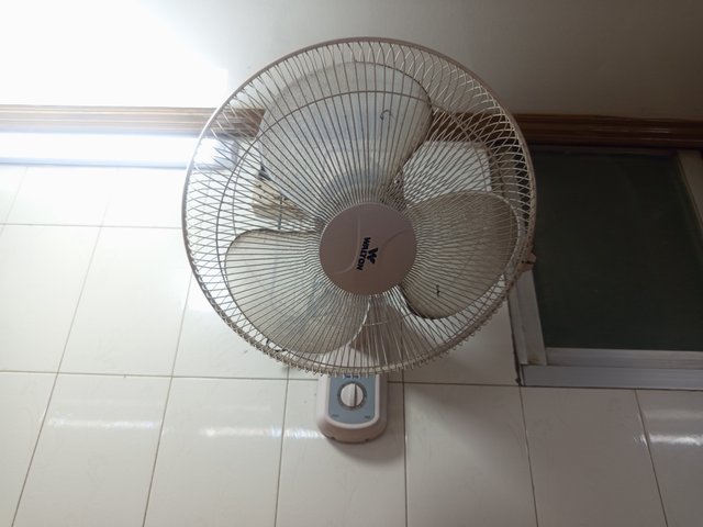 1000011318.jpg