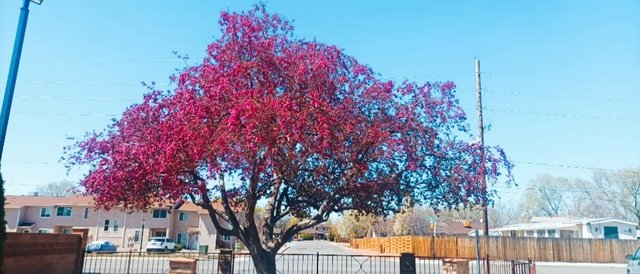 IMG_20250407_134635.jpg