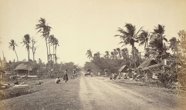 Village-Road-scene-in-Bengal---1860's.jpg