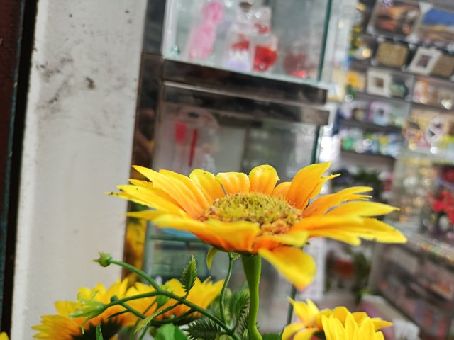 1000009325.jpg