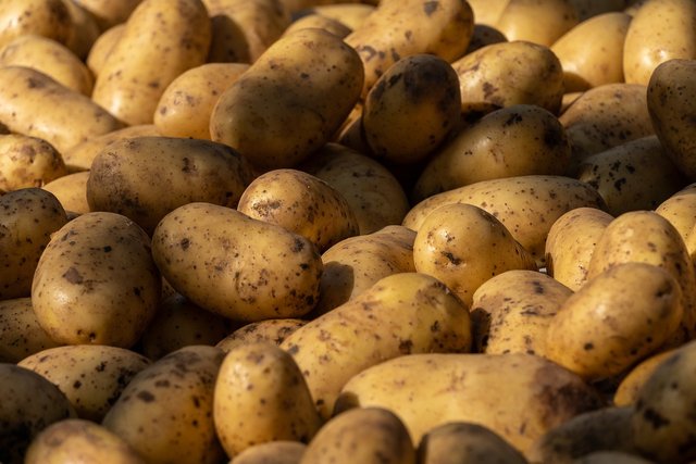 potatoes-6980000_1280.jpg