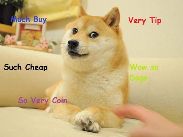 The-Dogecoin-Price-is-Low-and-Thats-Crazy.jpg