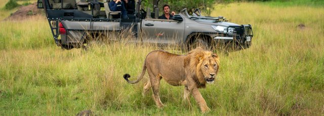 5 Best Things to Do in Akagera National Park.jpg