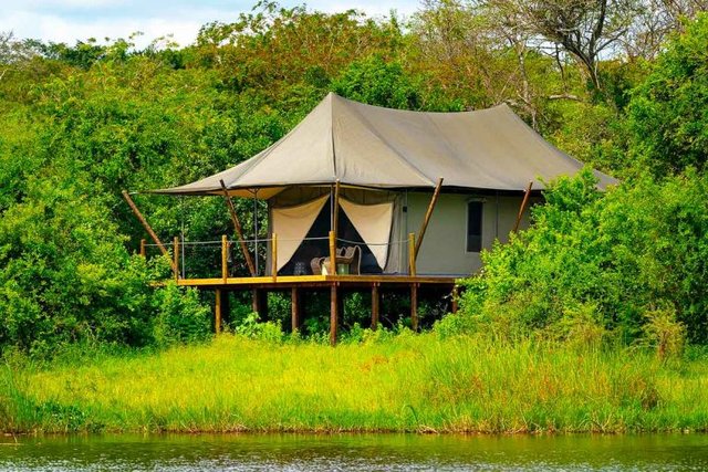 Booking a Budget Rwanda Safari.jpg