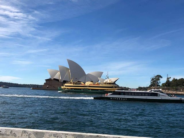 sydney3.jpg