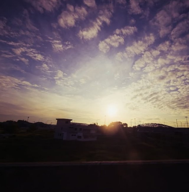 IMG_20250617_165223.jpg