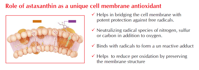 Astaxanthin7.png