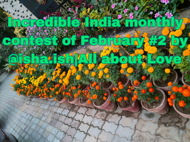 Incredible India monthly contest of February #2 by @isha.ish_All about Love_20250208_215618_0000.png