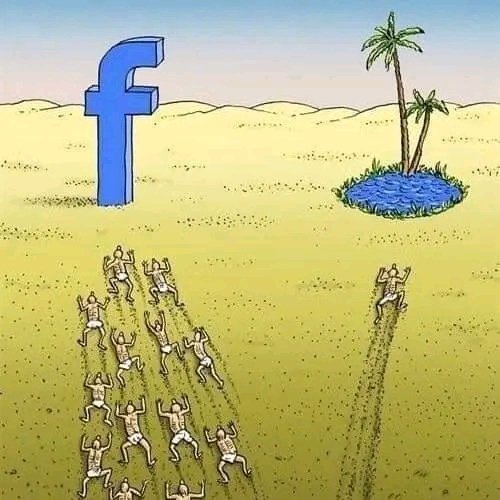FB_IMG_16598134588336953.jpg