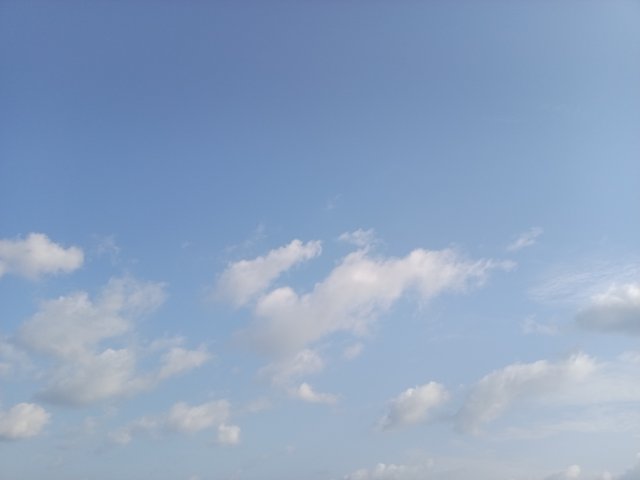 17802.jpg