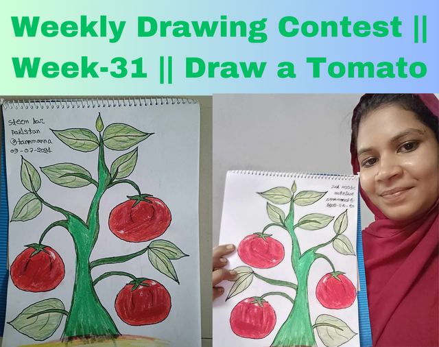 Weekly Drawing Contest  Week-31  Draw a Tomato.png