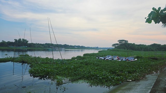 20250831_170551.jpg