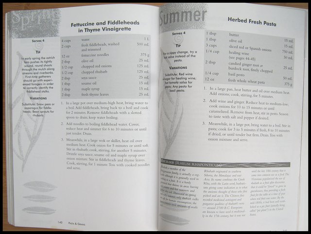 sample pages of Healing Herbs Cookbook.JPG