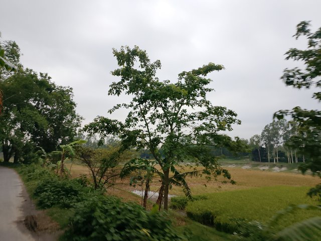 1000038079.jpg