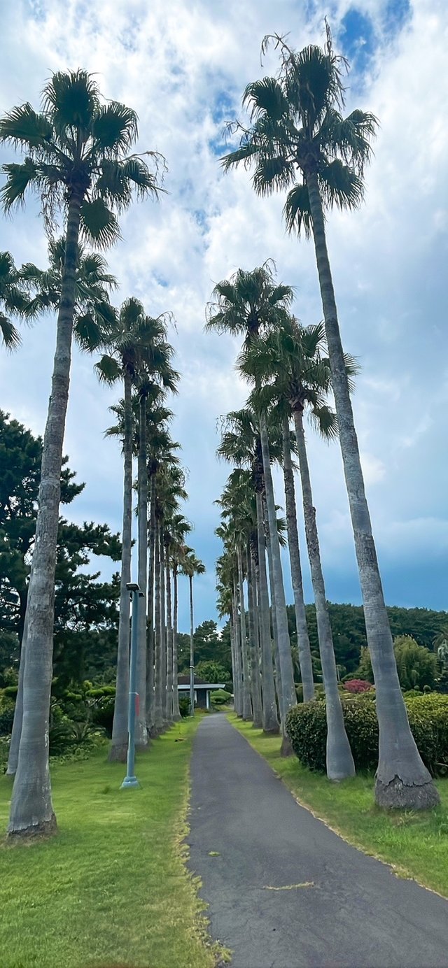 KakaoTalk_20250821_152801126.jpg