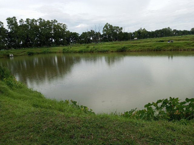 IMG_20250829_173845_487.jpg
