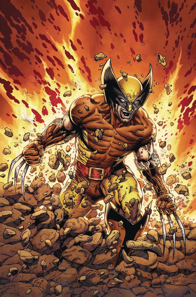 Return of Wolverine #1.jpg