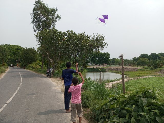 IMG_20240517_095432_584.jpg